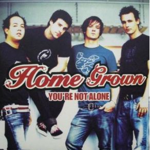 Download track You'Re Not Alone Home Grown