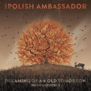 Download track El Troubadour (Instrumental) The Polish Ambassador