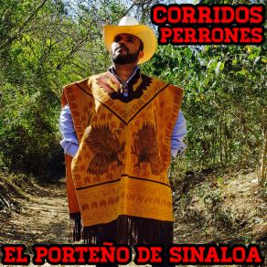 Download track Soy Puro Michoacano El Porteño De Sinaloa