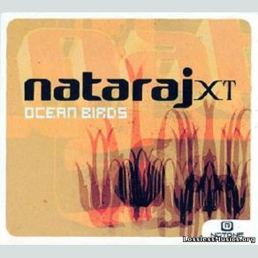 Download track Prime Time Nataraj XT