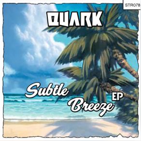 Download track Beach (Original Mix) Quark