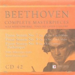 Download track Piano Sonata No. 7 Op. 10 No. 3 In D Major - I. Presto Ludwig Van Beethoven