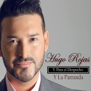Download track Soy Un Vagabundo Hugo RojasLuis Alberto Posada