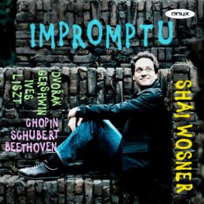 Download track Impromptu (Nocturne), S. 191 Shai WosnerNocturne