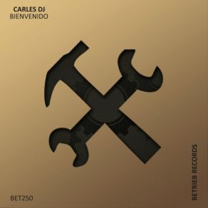 Download track Bienvenido Carles DJ