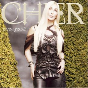 Download track A Different Kind Of Love Song Cher