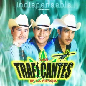 Download track Los Caminos De La Vida Los Traficantes De La Sierra