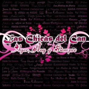 Download track Las Pequeñas Cosas Las Chicas Del Can