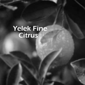 Download track Clack Yelek Fine