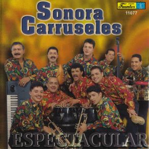 Download track Adios Compay Gato Sonora CarruselesCesar Batalla