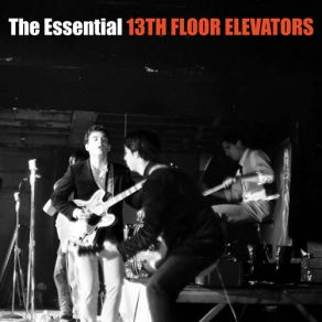 Download track Fire In My Bones The 13th Floor Elevators