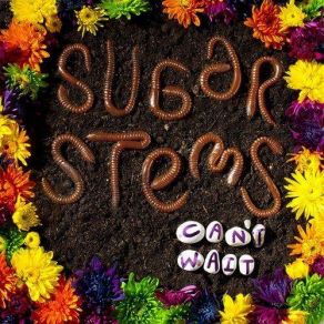 Download track Like I Do Sugar Stems