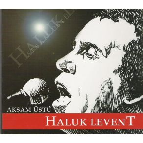 Download track Akşam Üstü Halük Levent