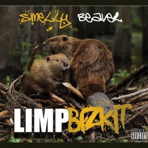 Download track Beautiful Boy Limp Bizkit
