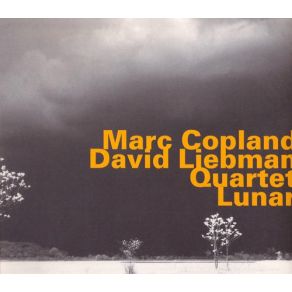 Download track Standoff Marc Copland, David Liebman Quartet