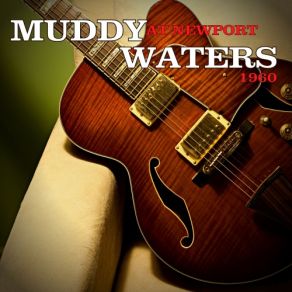 Download track I'm Your Hoochie Coochie Man (Live) Muddy Waters