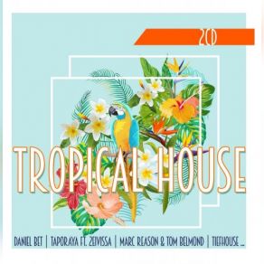 Download track I Need A Miracle (Tom Franke Mix) Coco Star, Tom Franke, The Guru Project