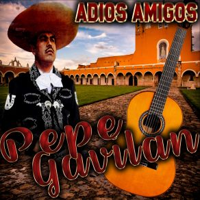 Download track Adios Amigos Pepe Gavilan