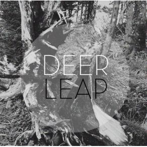 Download track Here Deer Leap