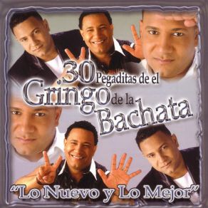 Download track Volvi El Gringo De La Bachata