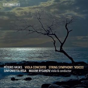 Download track 07. Symphony No. 1 Voices III. Voice Of Conscience Pēteris Vasks