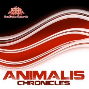 Download track The Time Machine Animalis