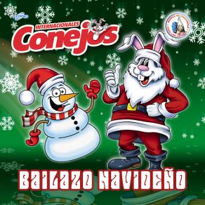 Download track Cantares De Navidad Internacionales Conejos