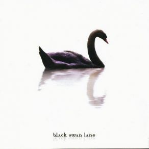 Download track The Bird Black Swan Lane