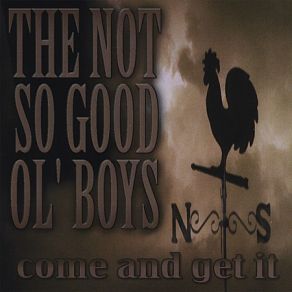 Download track The Way I Am The Not So Good Ol' Boys