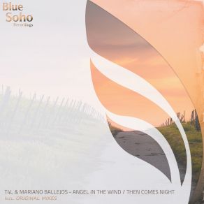 Download track Angel In'the Wind (Original Mix) T4L, Mariano Ballejos
