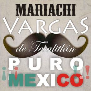 Download track Luz Mariachi Vargas De Tecalitlán