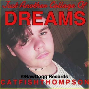 Download track Bridges Are Falling Cat Fish Thompson