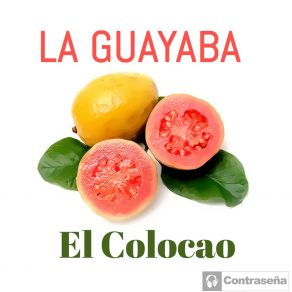 Download track Colocao (Salsa Mix) La GuayabaSalsa Mix