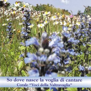 Download track La Notte In Montagna Nuova Schola Cantorum Di Montegrino