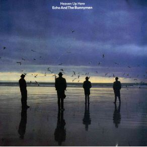 Download track The Disease Echo & The Bunnymen