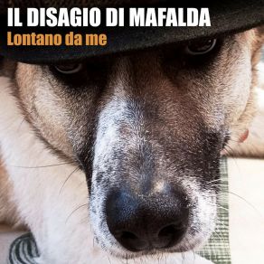 Download track L'ultimo Giorno Il Disagio Di Mafalda