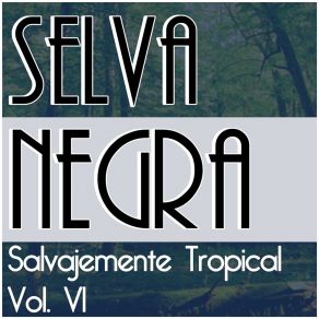 Download track Vuela Palomita Selva Negra