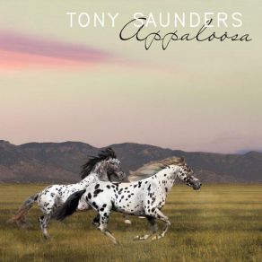 Download track The Lady In My Life Tony Saunders