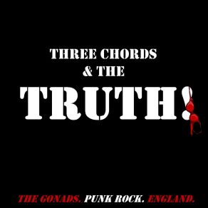 Download track Three Chords & The Truth The SkaNads
