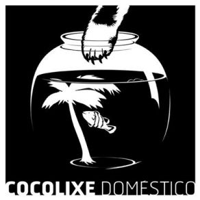 Download track Mai Cocolixe