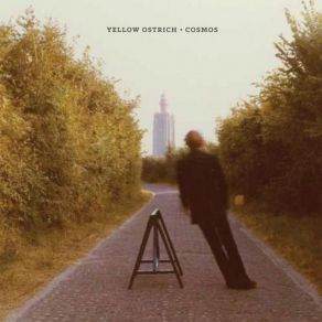 Download track Shades Yellow Ostrich