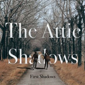 Download track Dangerous World The Attic Shadows