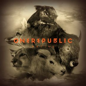 Download track Can't Stop OneRepublic, Native