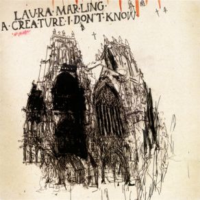 Download track Don't Ask Me Why Laura Marling