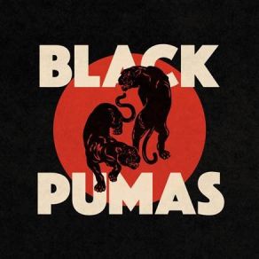 Download track Black Moon Rising The Black Pumas