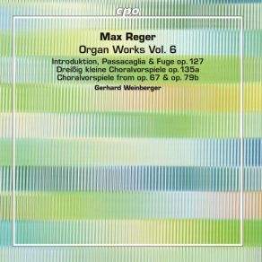 Download track Little Chorale Preludes, Op. 135a: No. 16, Macht Hoch Die Tür Max Reger, Gerhard Weinberger