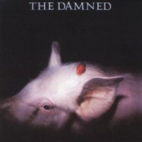 Download track The Dog The Damned