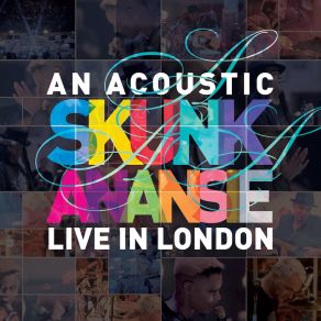 Download track I Hope You Get To Meet Your Hero Skunk Anansie
