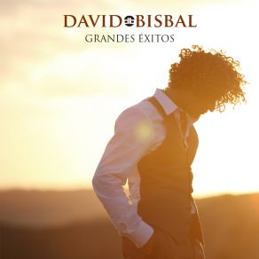 Download track 24 Horas David Bisbal