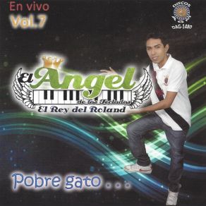 Download track La Puerca El Angel De Los Teclados